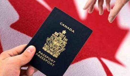 加拿大签证费用